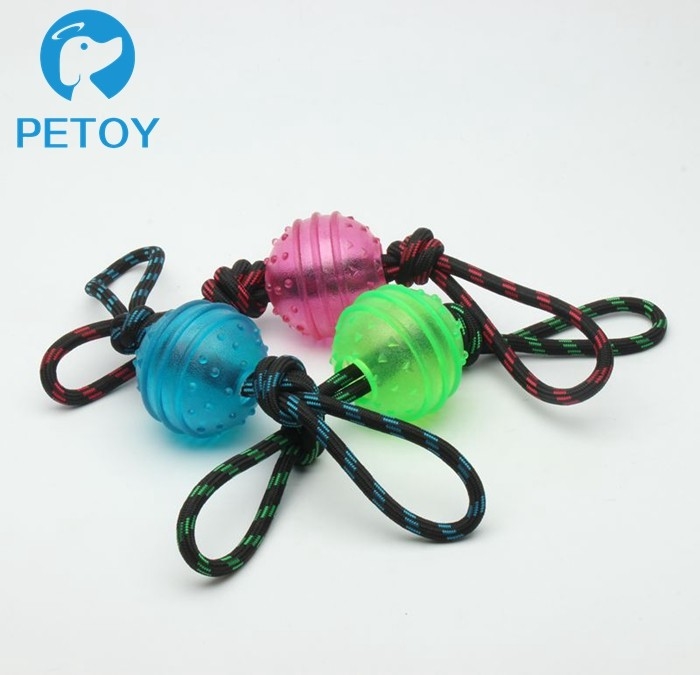 Lightweight Plastic Dog Ball With Rope Interactive Dog Toy For Heavy Chewers