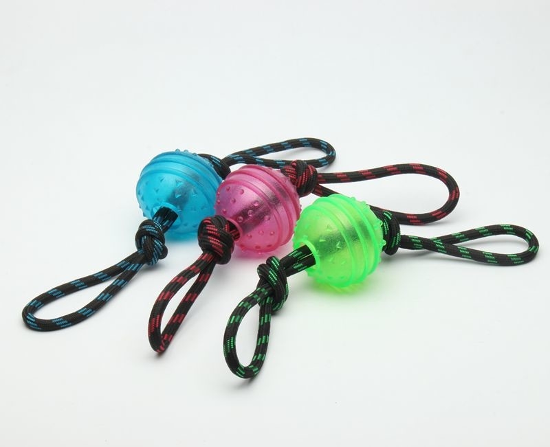 Lightweight Plastic Dog Ball With Rope Interactive Dog Toy For Heavy Chewers
