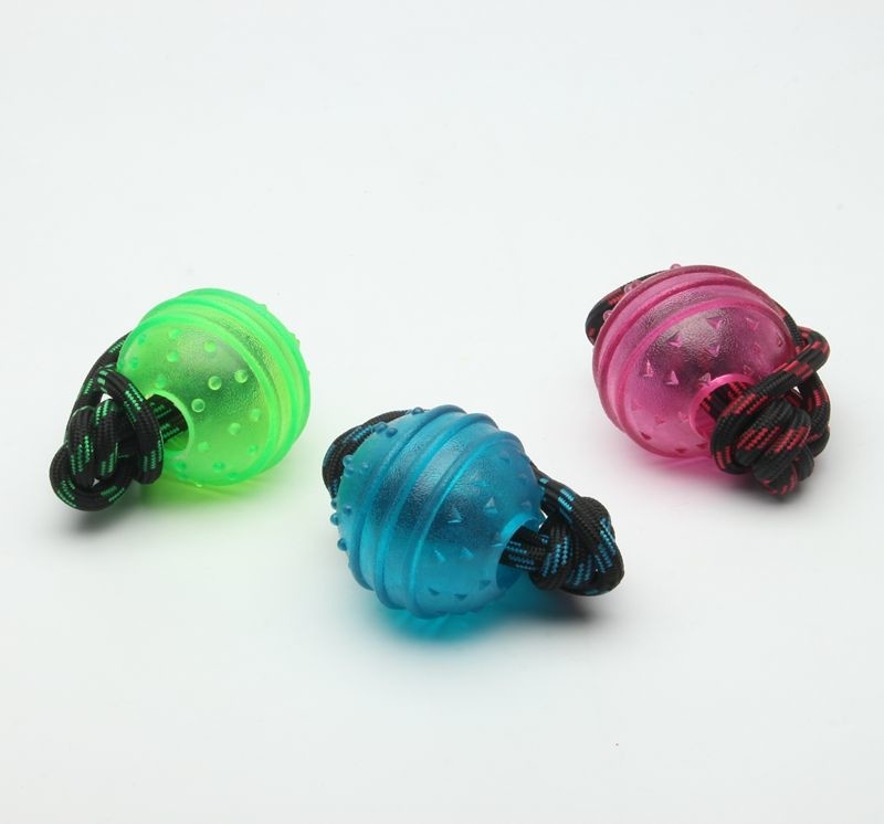 Lightweight Plastic Dog Ball With Rope Interactive Dog Toy For Heavy Chewers