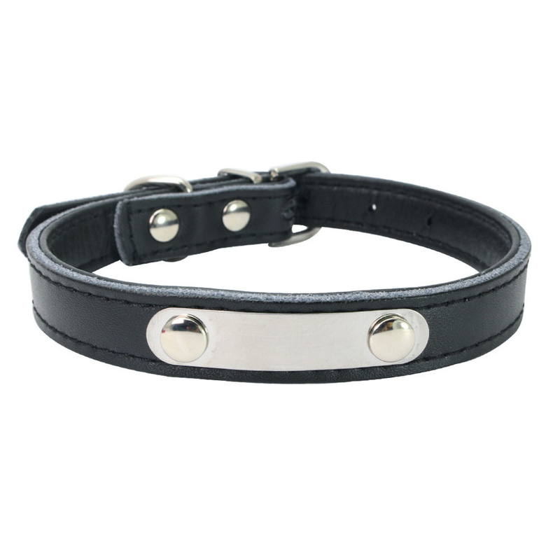 Durable Pet Dog Collars And Leashes Customized Number Printed With Stainless Steel Name Tag