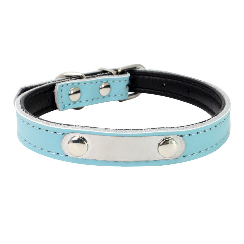 Durable Pet Dog Collars And Leashes Customized Number Printed With Stainless Steel Name Tag